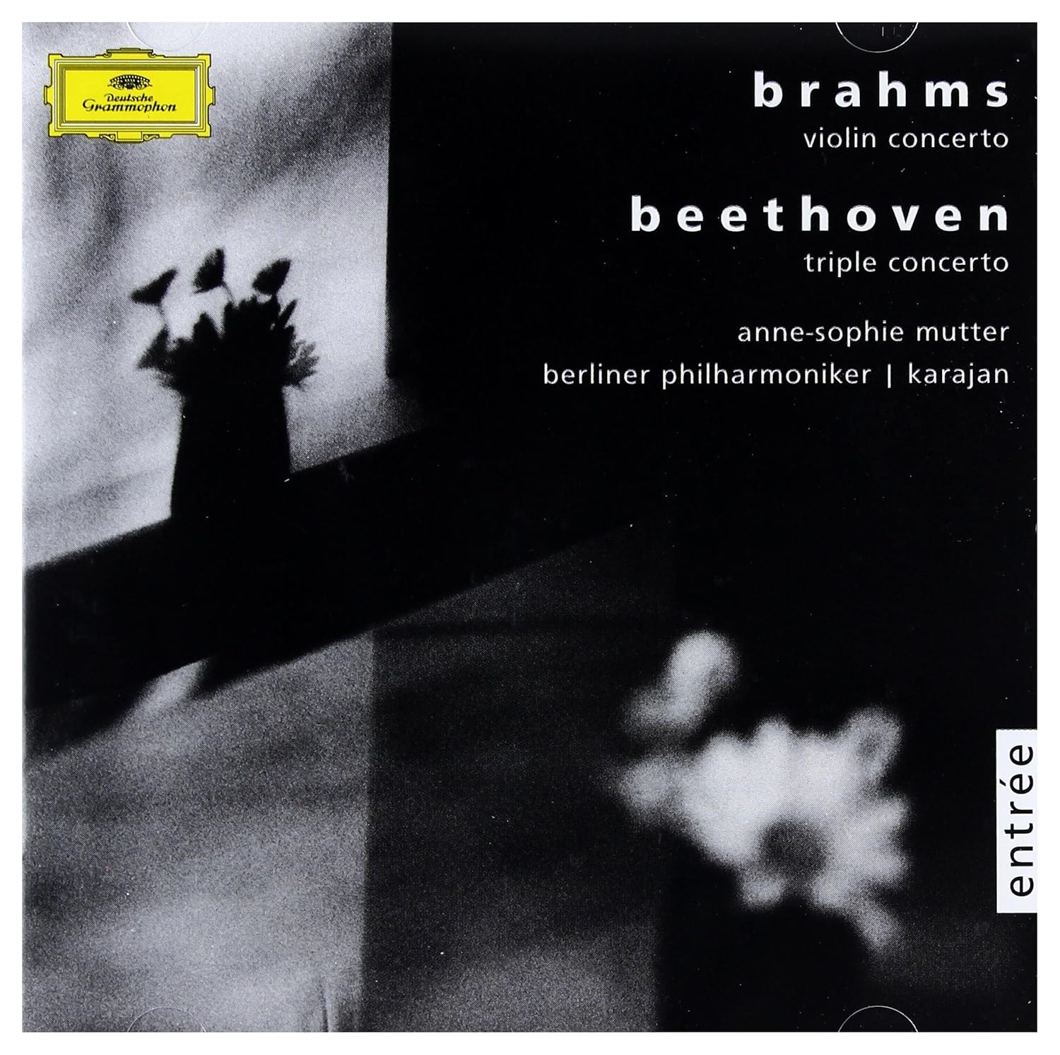 Brahms Beethoven