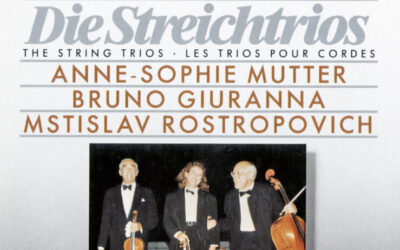 Beethoven: Die Streichtrios
